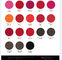Color Positive Micro Pigment Ink สำหรับริมฝีปาก / คิ้ว / อายไลเนอร์ 19 สีให้เลือก